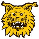 Ilves W