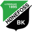 Hønefoss W