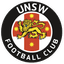 UNSW U20